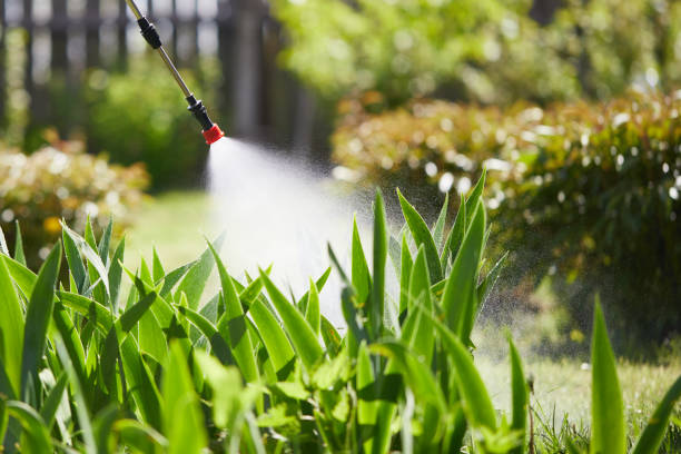 24/7 Emergency Cockroach Control experts in Garrettsville, OH